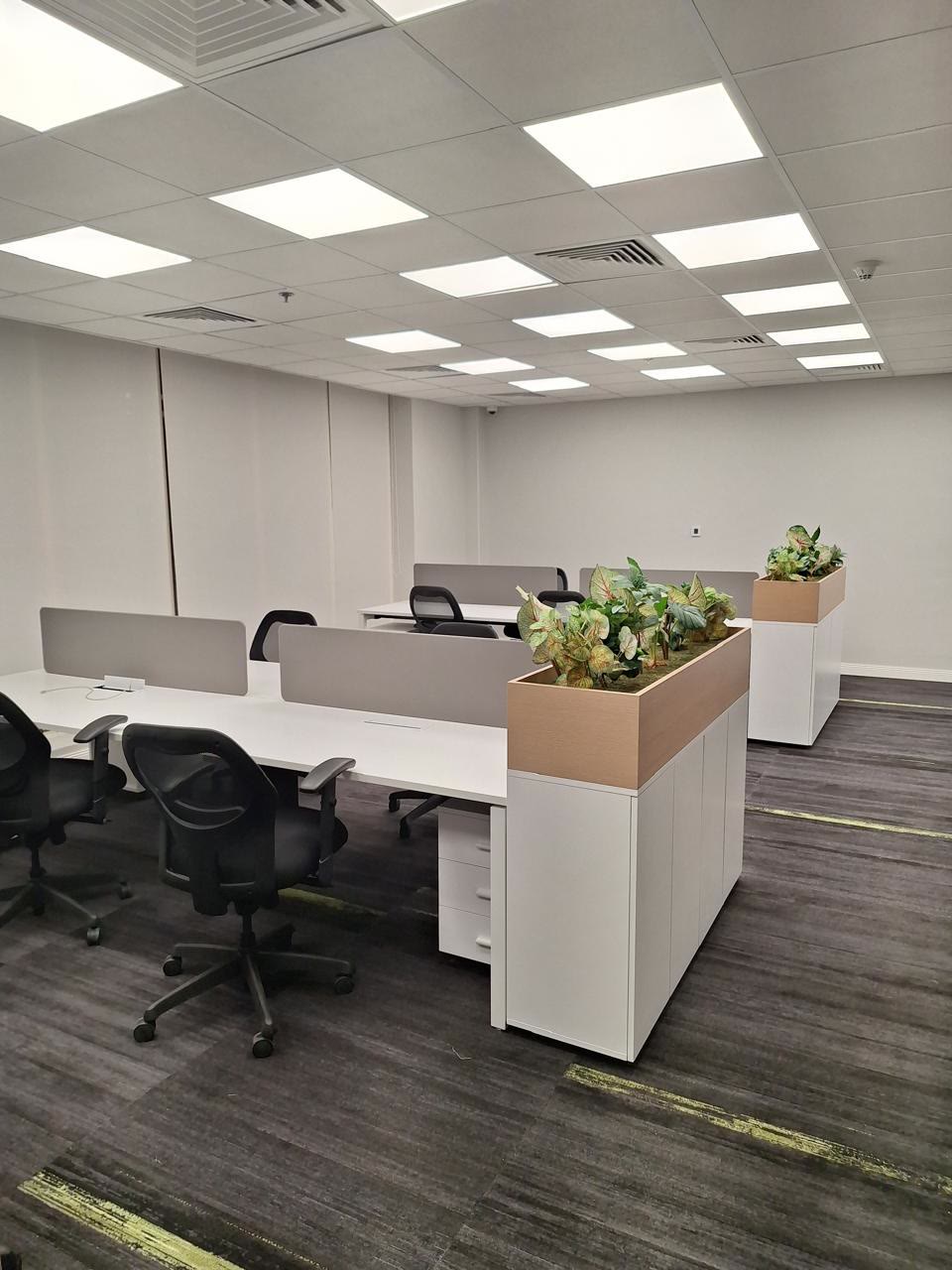Savola Riyadh office fit-out — open workspace with planted dividers